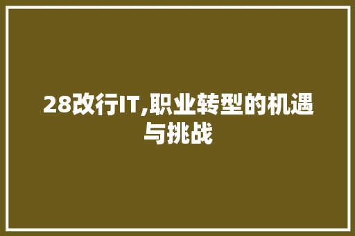 28改行IT,职业转型的机遇与挑战