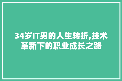 34岁IT男的人生转折,技术革新下的职业成长之路 360搜优化