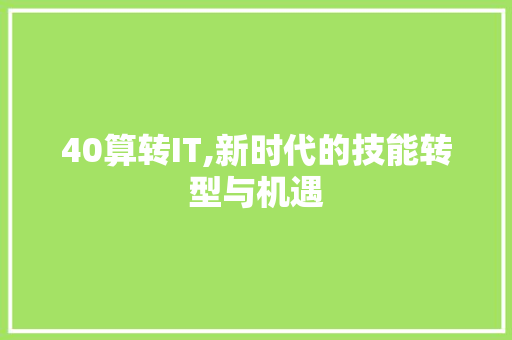40算转IT,新时代的技能转型与机遇 头条优化