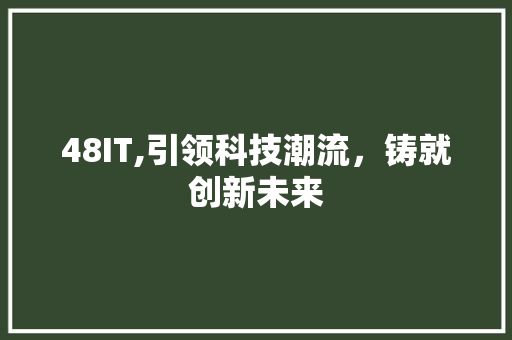 48IT,引领科技潮流，铸就创新未来 英文谷歌算法