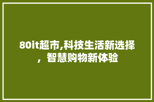 80it超市,科技生活新选择，智慧购物新体验 360搜优化