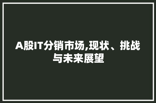 A股IT分销市场,现状、挑战与未来展望
