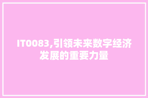 IT0083,引领未来数字经济发展的重要力量 网站开发