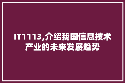 IT1113,介绍我国信息技术产业的未来发展趋势