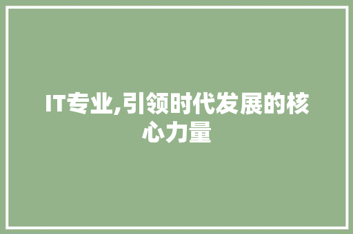 IT专业,引领时代发展的核心力量 英文谷歌算法