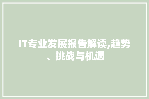 IT专业发展报告解读,趋势、挑战与机遇