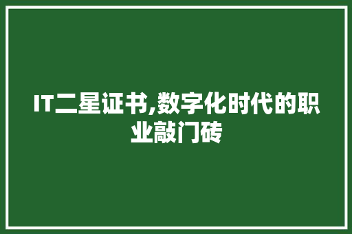 IT二星证书,数字化时代的职业敲门砖 英文谷歌算法