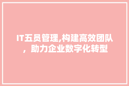 IT五员管理,构建高效团队，助力企业数字化转型
