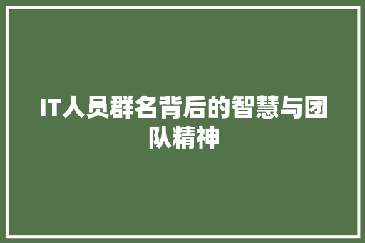 IT人员群名背后的智慧与团队精神