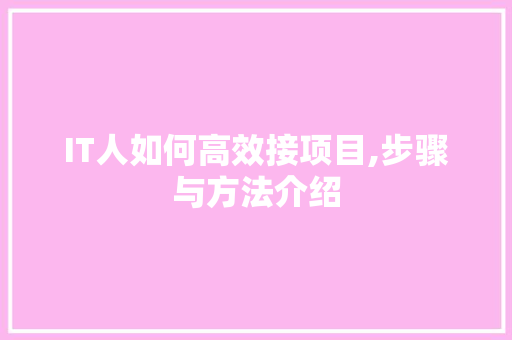 IT人如何高效接项目,步骤与方法介绍 百度算法
