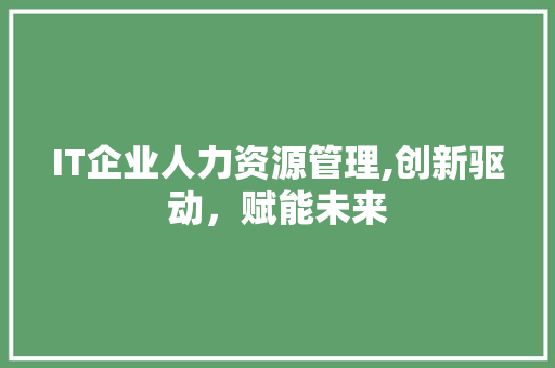 IT企业人力资源管理,创新驱动，赋能未来 AI技术学习