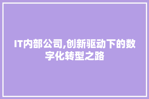 IT内部公司,创新驱动下的数字化转型之路