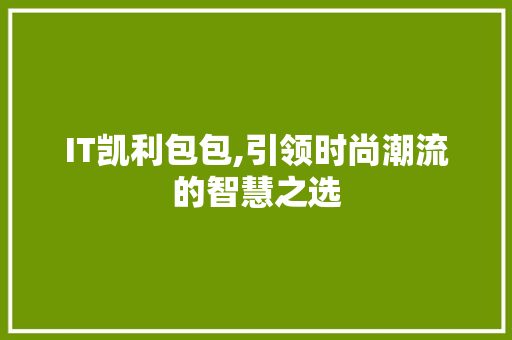IT凯利包包,引领时尚潮流的智慧之选