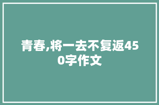 IT协会徽标,科技时代的象征与引领者 网站开发