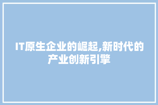 IT原生企业的崛起,新时代的产业创新引擎 网站开发