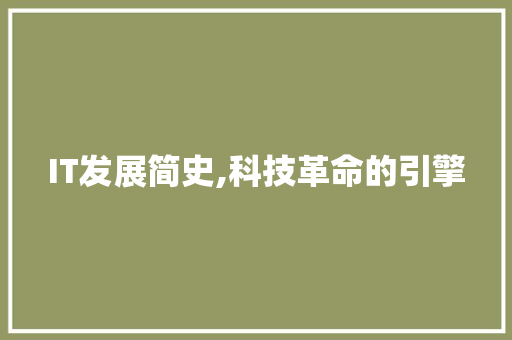 IT发展简史,科技革命的引擎 网站优化