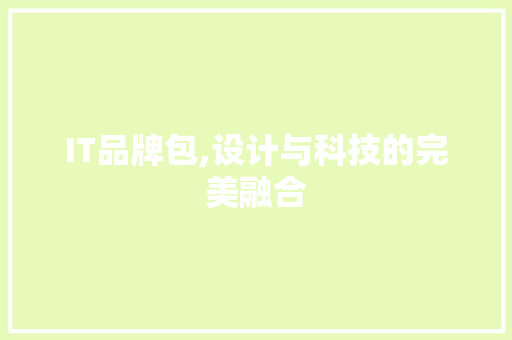 IT品牌包,设计与科技的完美融合 360搜优化