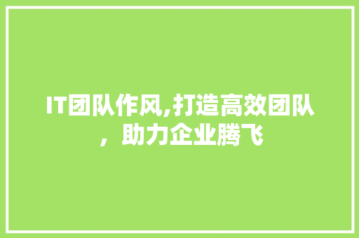 IT团队作风,打造高效团队，助力企业腾飞 头条优化