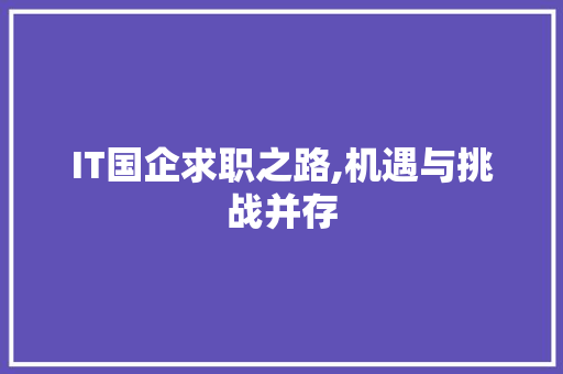 IT国企求职之路,机遇与挑战并存 英文谷歌算法