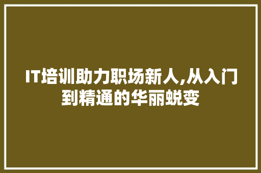 IT培训助力职场新人,从入门到精通的华丽蜕变