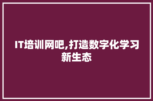 IT培训网吧,打造数字化学习新生态