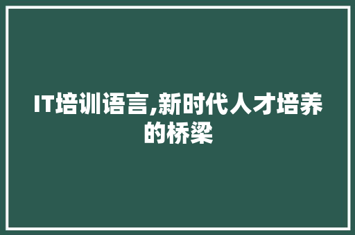 IT培训语言,新时代人才培养的桥梁