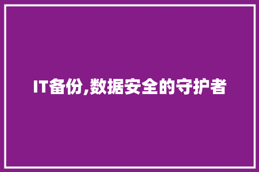 IT备份,数据安全的守护者