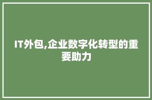 IT外包,企业数字化转型的重要助力 360搜优化