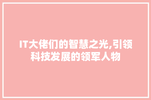 IT大佬们的智慧之光,引领科技发展的领军人物 网站开发