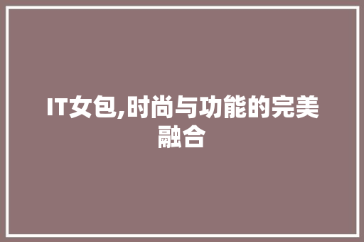 IT女包,时尚与功能的完美融合 百度算法
