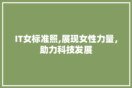 IT女标准照,展现女性力量，助力科技发展 小程序开发