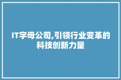 IT字母公司,引领行业变革的科技创新力量