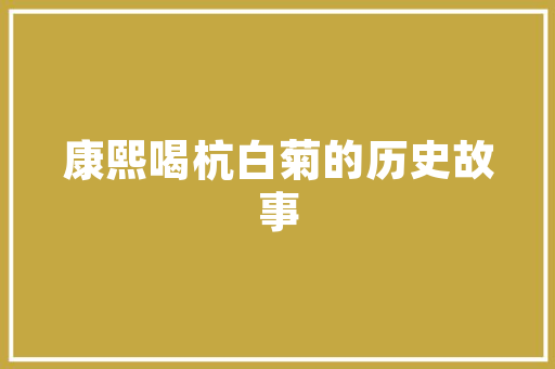 CMS参考网站,引领内容管理新时代