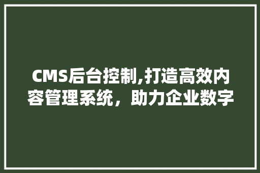 CMS后台控制,打造高效内容管理系统，助力企业数字化转型
