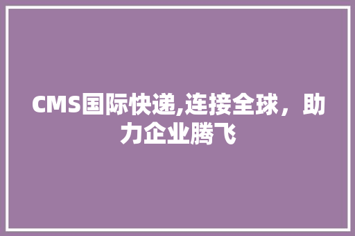 CMS国际快递,连接全球，助力企业腾飞