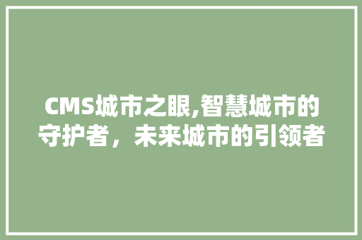 CMS城市之眼,智慧城市的守护者，未来城市的引领者