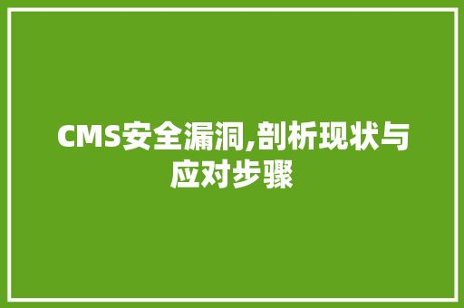 CMS安全漏洞,剖析现状与应对步骤