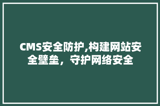 CMS安全防护,构建网站安全壁垒，守护网络安全
