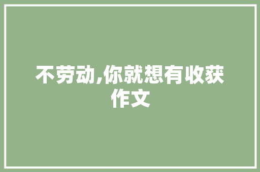 CMS安装权限,守护网站安全的关键一环