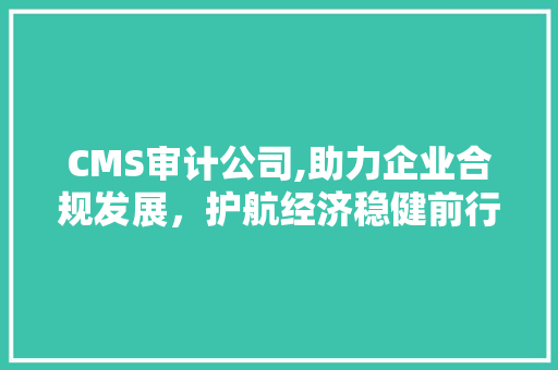 CMS审计公司,助力企业合规发展，护航经济稳健前行