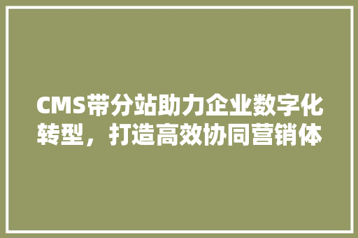 CMS带分站助力企业数字化转型，打造高效协同营销体系
