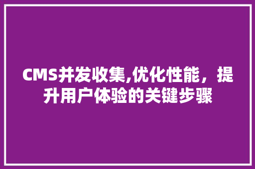 CMS并发收集,优化性能，提升用户体验的关键步骤 360搜优化