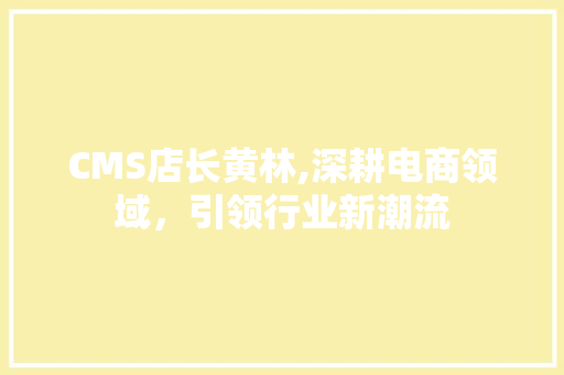 CMS店长黄林,深耕电商领域，引领行业新潮流