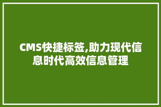 CMS快捷标签,助力现代信息时代高效信息管理
