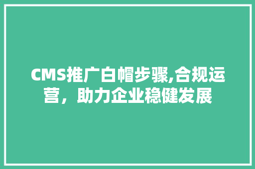 CMS推广白帽步骤,合规运营，助力企业稳健发展