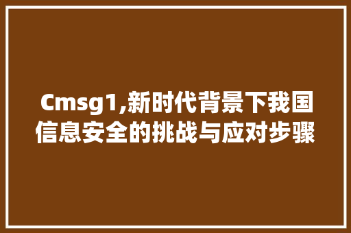 Cmsg1,新时代背景下我国信息安全的挑战与应对步骤