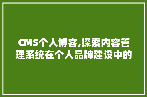 CMS个人博客,探索内容管理系统在个人品牌建设中的应用