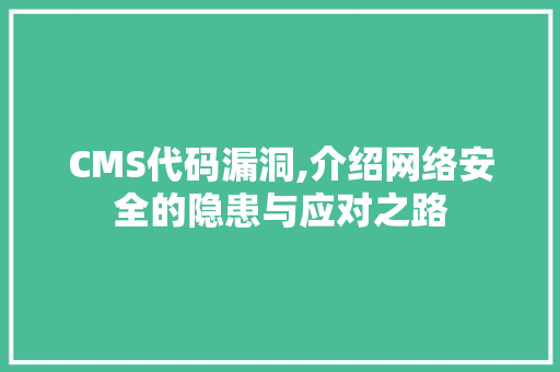 CMS代码漏洞,介绍网络安全的隐患与应对之路