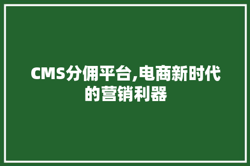 CMS分佣平台,电商新时代的营销利器