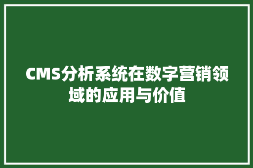 CMS分析系统在数字营销领域的应用与价值